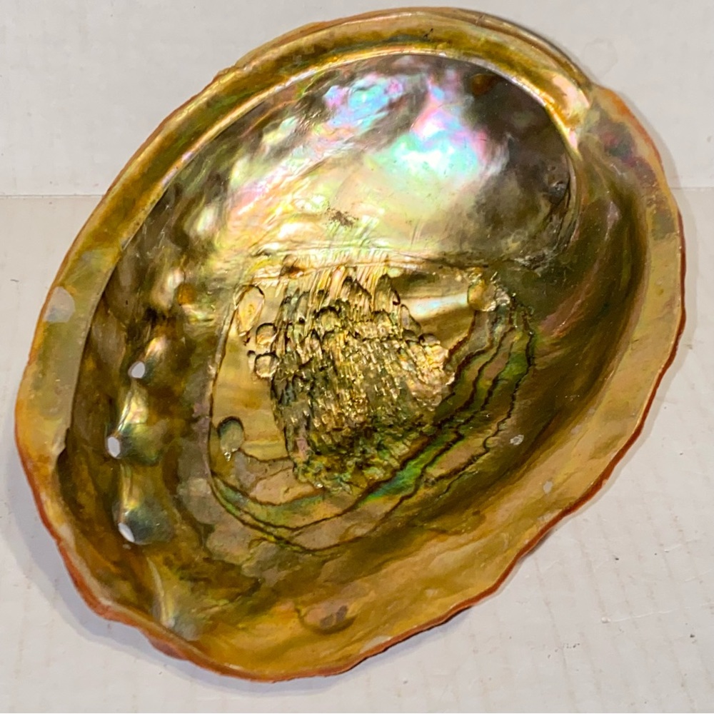 Vintage Large Red Abalone Shell Dish Gold Rainbow Iridescence Smudge Pot  Decor